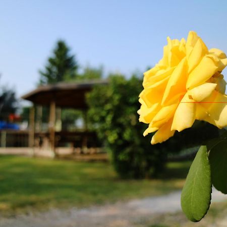 Agriturismo Ai Vigneti ポンティ・スル・ミンチョ エクステリア 写真