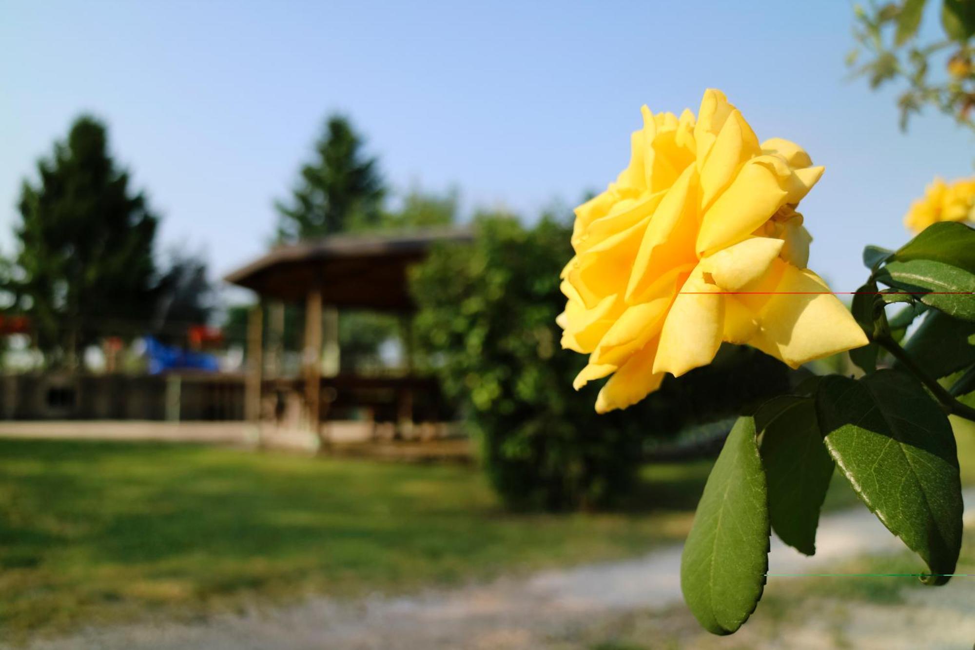 Agriturismo Ai Vigneti ポンティ・スル・ミンチョ エクステリア 写真